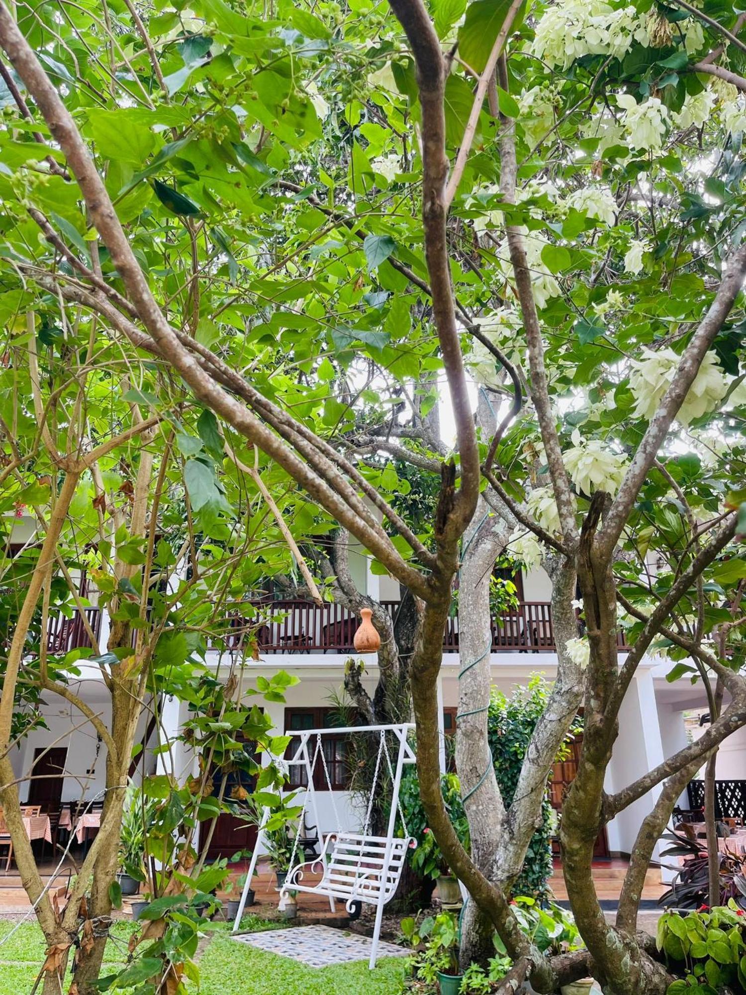 Little Paradise Tourist Guest House And Holiday Home Anuradhapura Exteriör bild